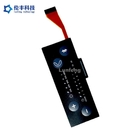 PET Embossed Keys LED Membrane Switch , Custom FPC LED Membrane Keypad